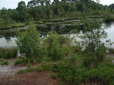Edegemse Beekvallei in Kontich