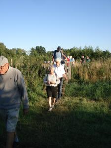 Edegemse Beekvallei in Edegem