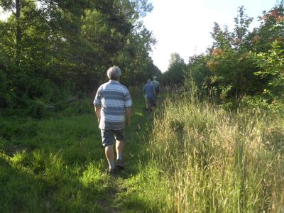 Edegemse Beekvallei in Edegem