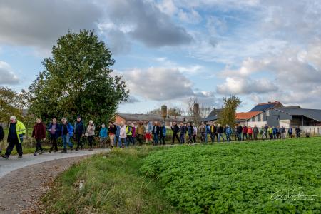 Herfstwandeling Glabbeek