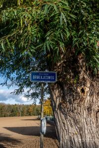 Herfstwandeling Glabbeek