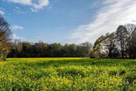 Herfstwandeling Glabbeek