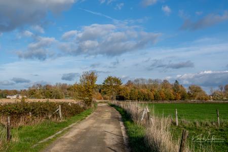 Herfstwandeling Glabbeek