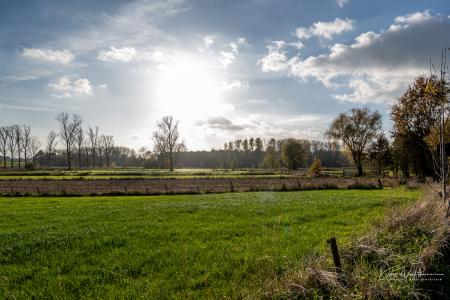 Herfstwandeling Glabbeek