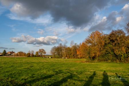 Herfstwandeling Glabbeek