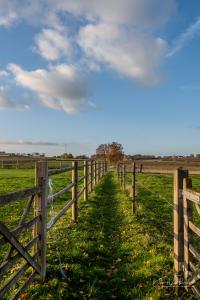 Herfstwandeling Glabbeek