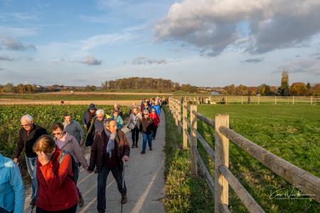 Herfstwandeling Glabbeek