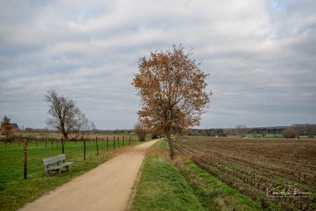 Ledenfeest Scherpenheuvel