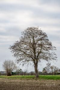 Ledenfeest Scherpenheuvel