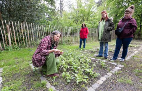 Wildplukpad - Domein Kelchterhoef - Houthalen-Helchteren