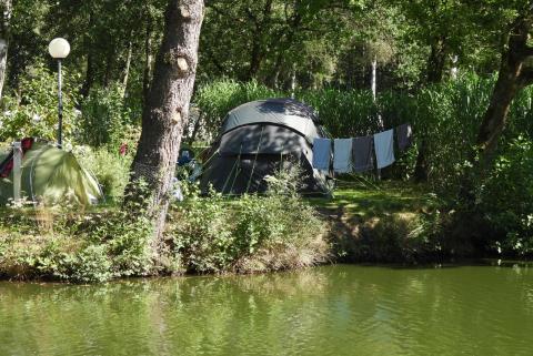 camping zavelbos