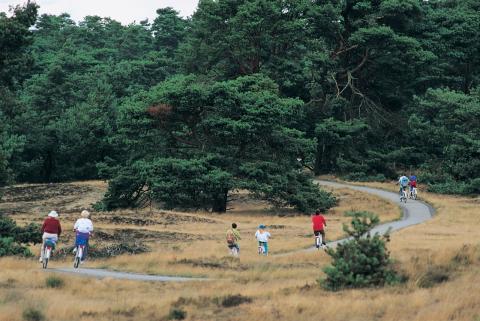 Veluwe