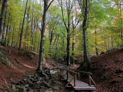 promenade meyerbeer