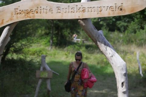 bulskampveld
