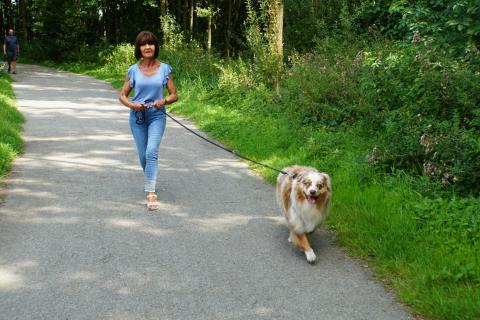 Bergmolenbos - wandelaars met hond