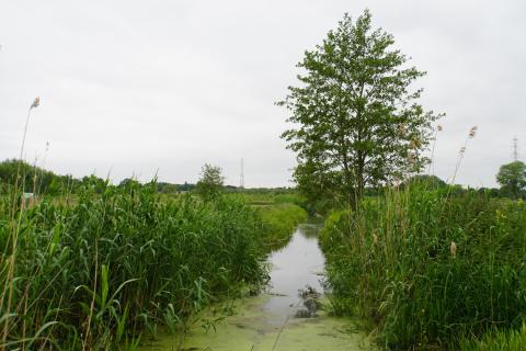 vinderhoutse bossen
