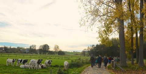 Bibbertocht Mazenzele