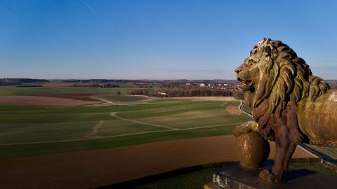 de leeuw van waterloo