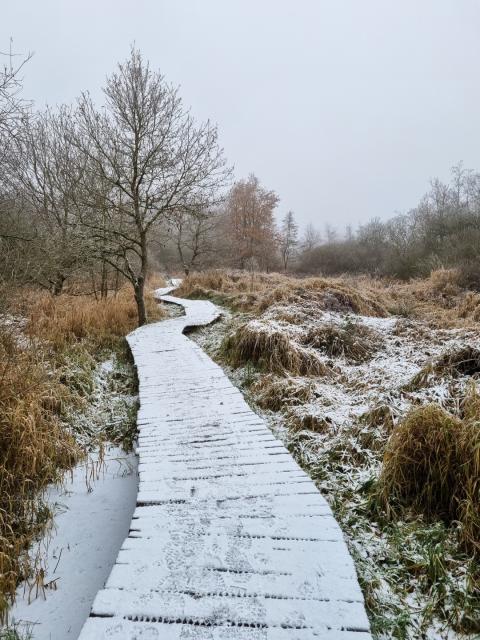vallei van de drie beken