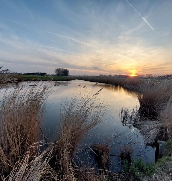 Zonsondergang aan de Sint-Elooiskreek