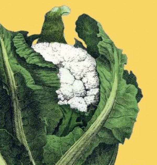 Museum van de Groentestreem