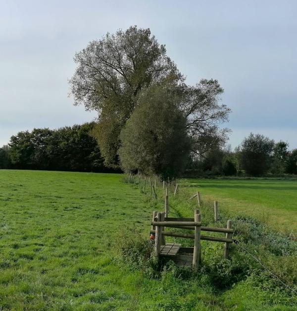 Langs trage wegen in Lebbeke