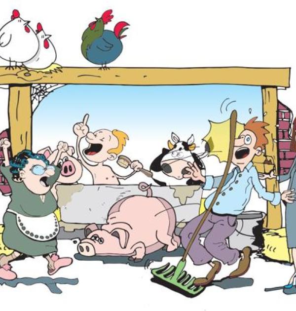 Varkens met stress