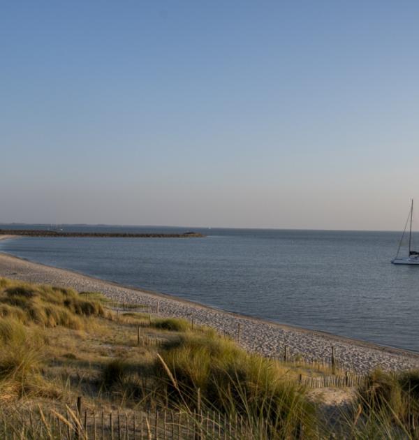 marker wadden