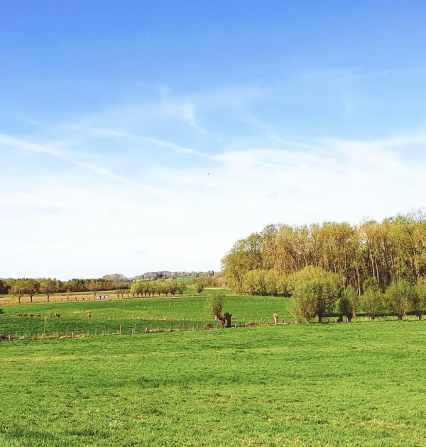 Landschap in Pajottenland