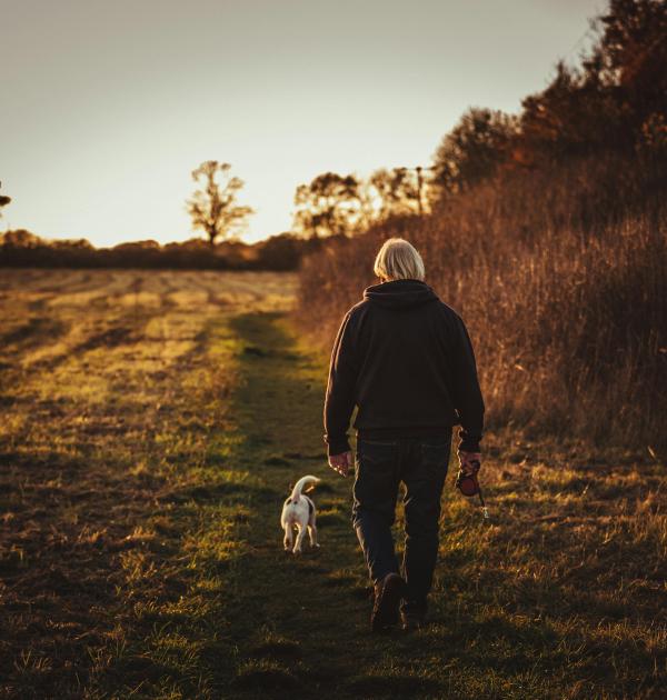 hond wandelen