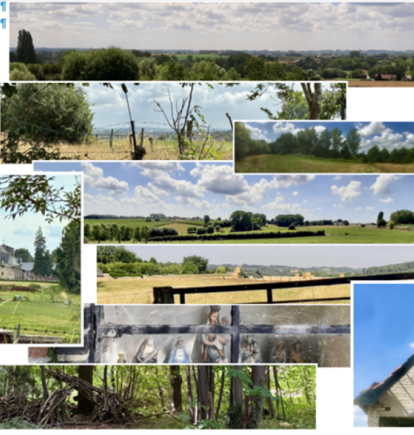 Dagwandeling