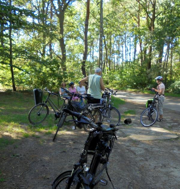 Rustpauze in het bos