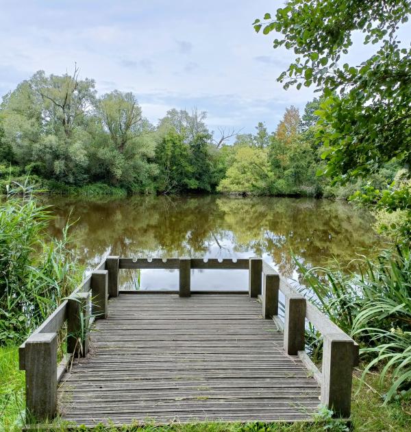 Blaasveld Broek