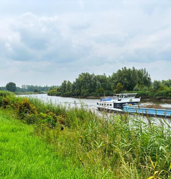 Fietsen langs de Schelde-oevers