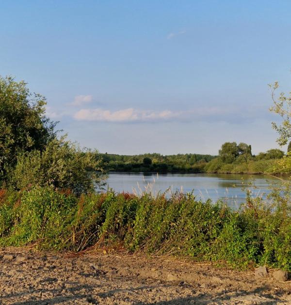 Het is heerlijk wandelen op de vele dijken van het mooie Scheldelandschap.
