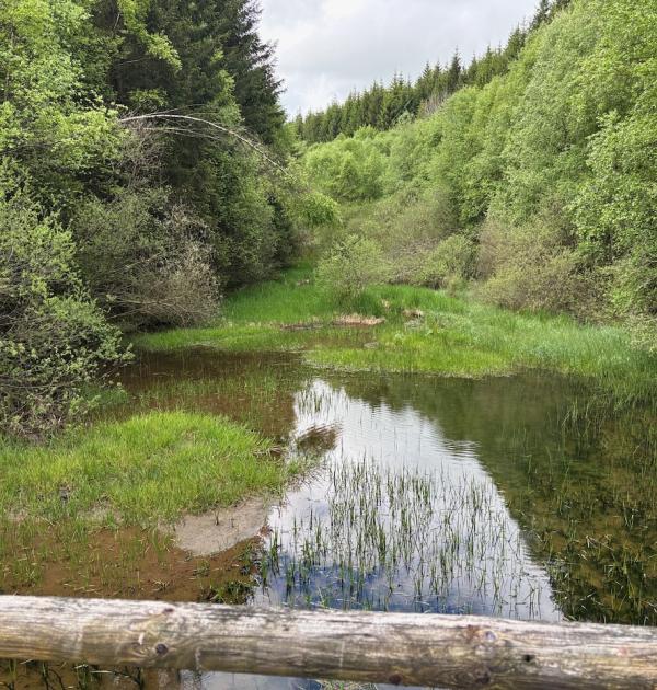 vergezicht in een rivierkloof