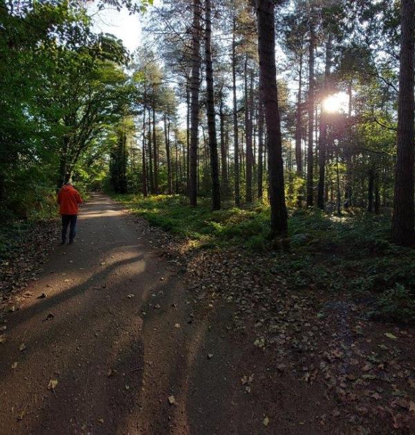 Een beeld van de wandeling