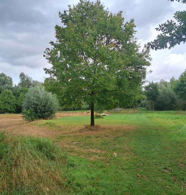 Zicht op domein Groene Velden in Mariakerke (Gent)