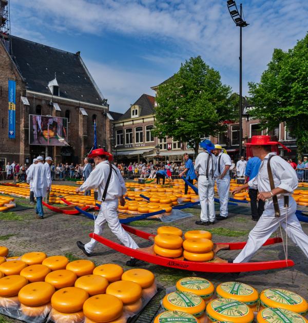Kaasmarkt in Alkmaar