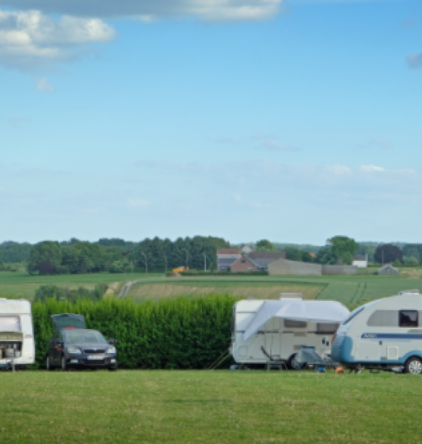 Camping Druivenland