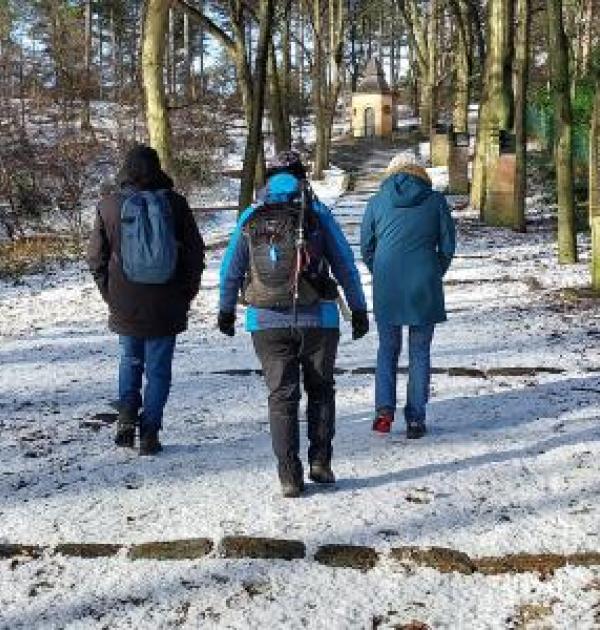 Wandeling Merode Herenthout