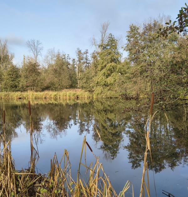 de damvallei in Destelbergen