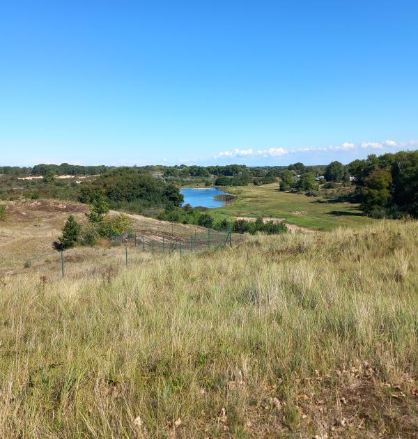 Zicht vanop de Hoge Blekker.