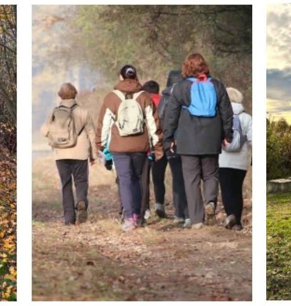 wandeling naar het koppelingsgebied Desteldonk-Noord