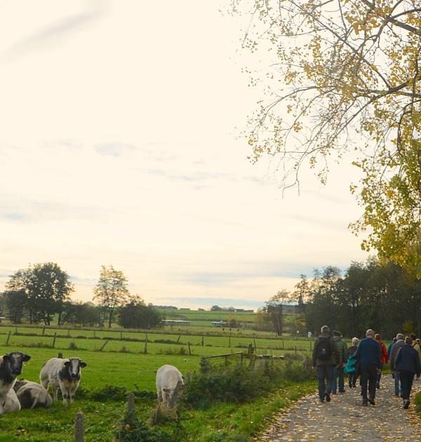 Bibbertocht Mazenzele