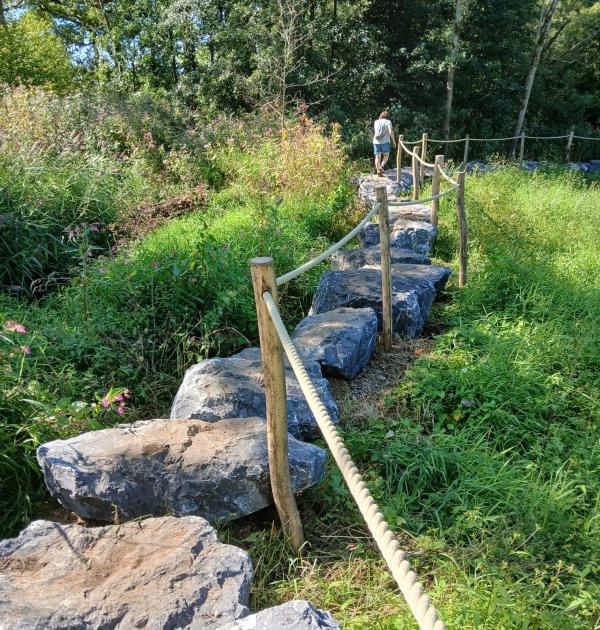 Lovenhoek Pulderbos -Vorselaar
