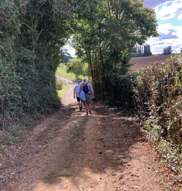 winter in Heuvelland