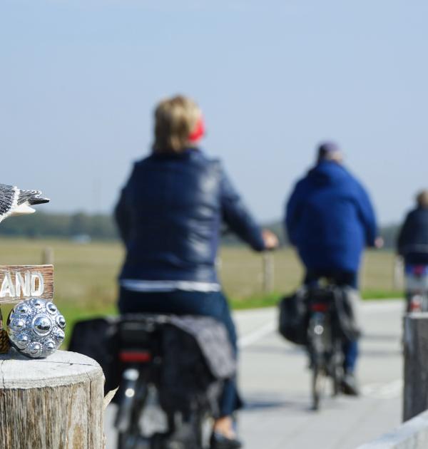 fietsen in zeeland