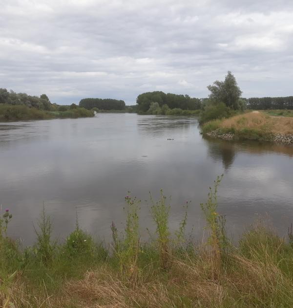 Zicht op de Schelde in Baasrode