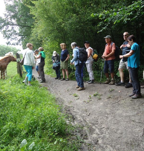 Wandeling Mont-Saint-Aubert
